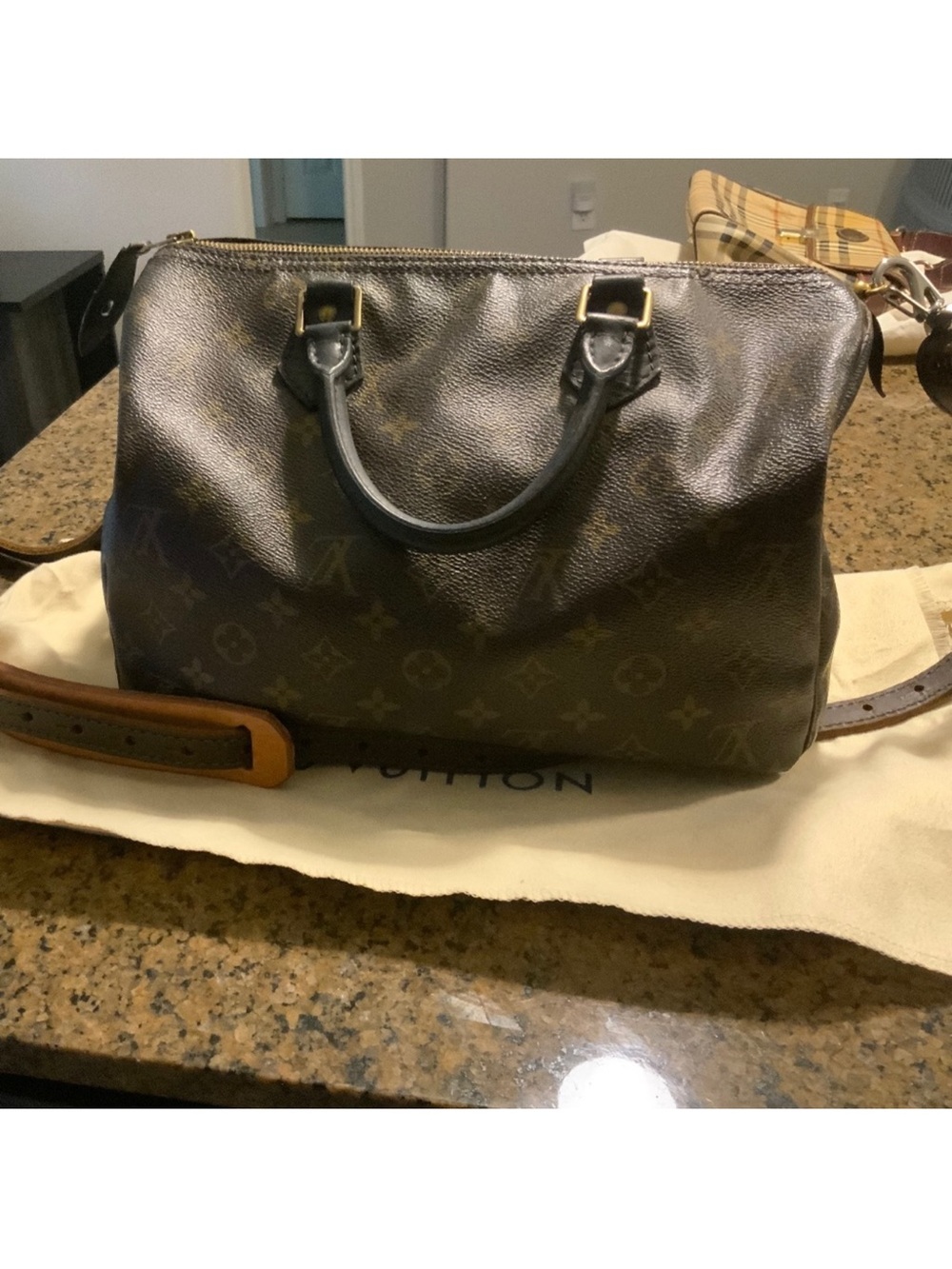 Louis Vuitton Monogram Canvas Brown and Tan Shoulder Bag